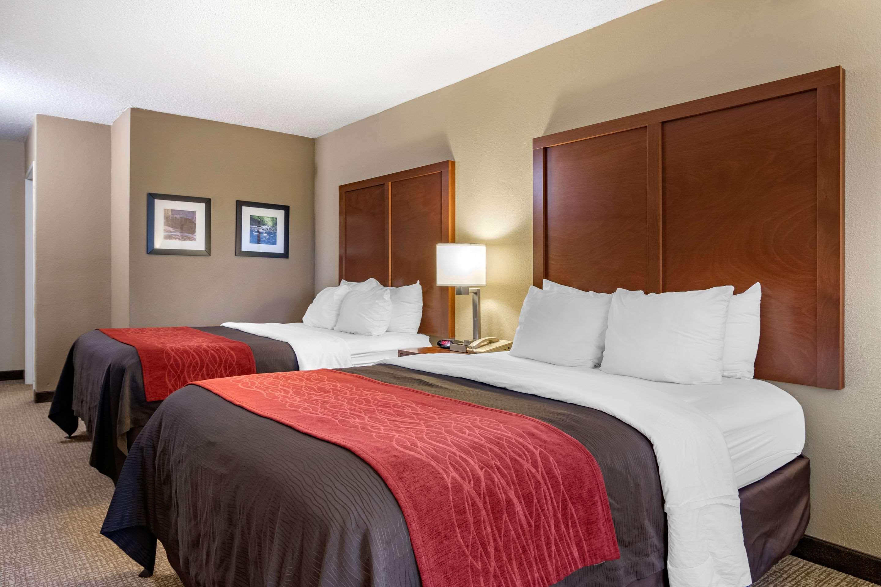 Comfort Inn & Suites Suwanee - Sugarloaf Buitenkant foto