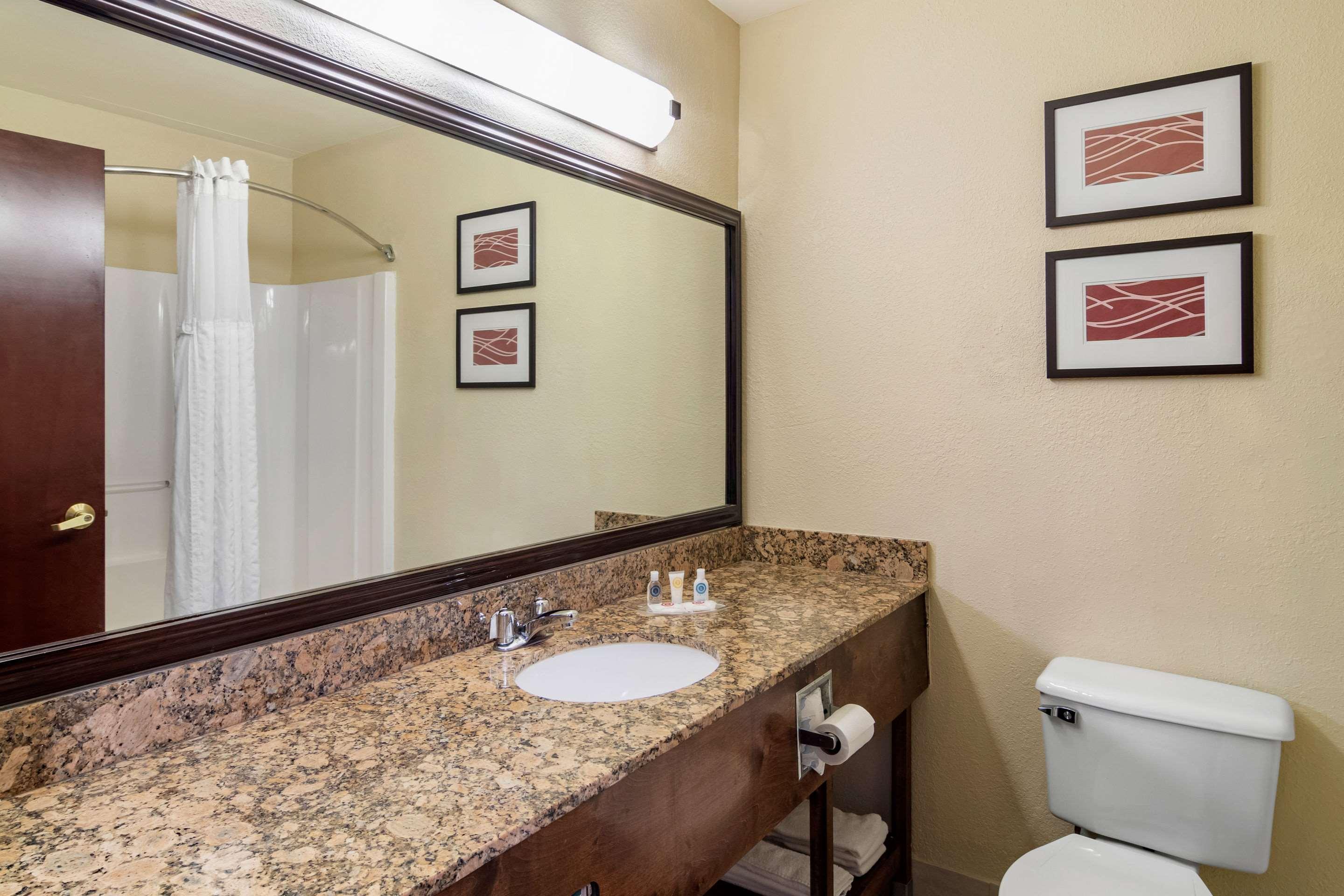 Comfort Inn & Suites Suwanee - Sugarloaf Buitenkant foto