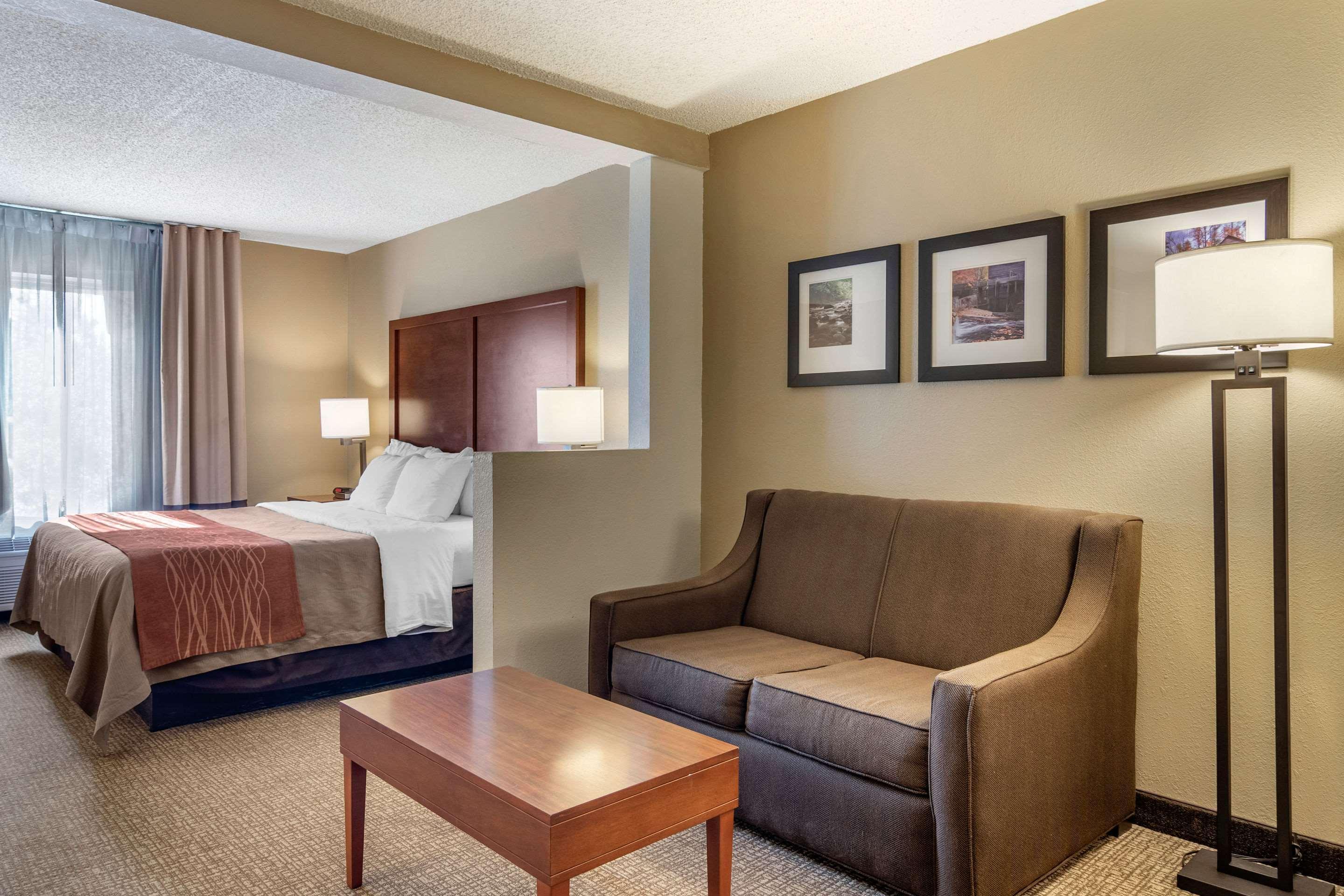 Comfort Inn & Suites Suwanee - Sugarloaf Buitenkant foto